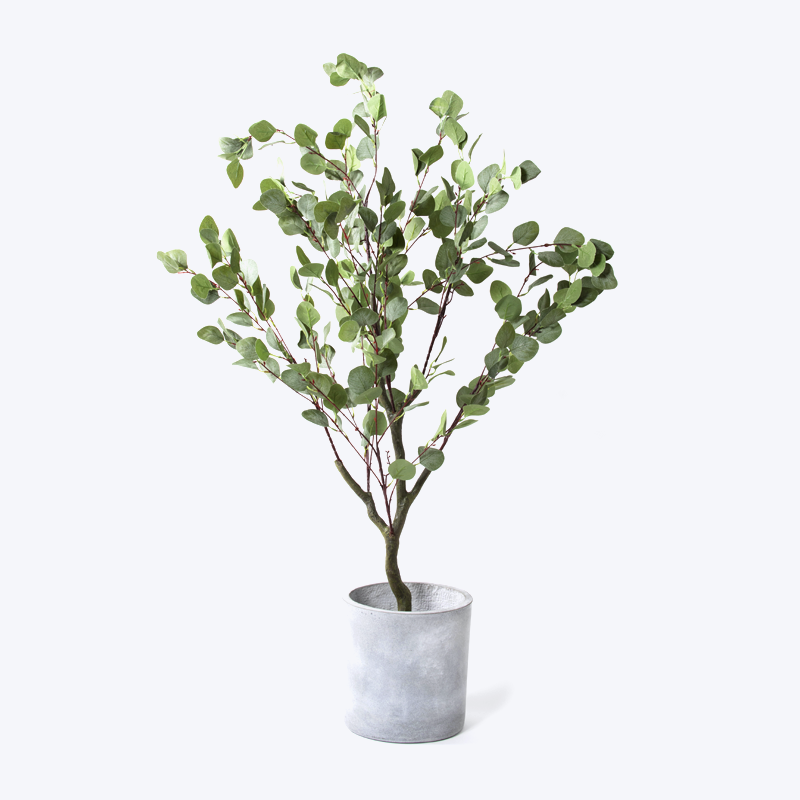 Faux plante verte et pot Eucalyptus-s