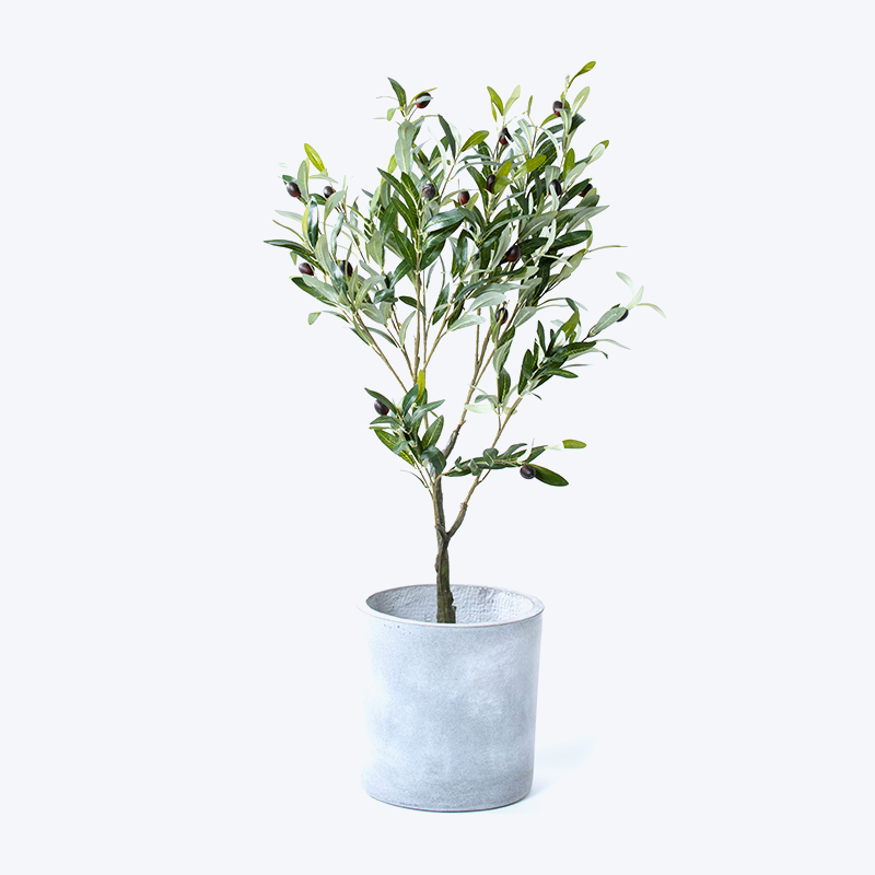 Fausse plante verte et pot Olive-s