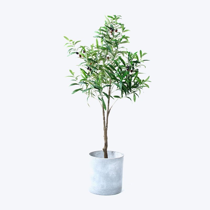 Fausse plante verte et pot Olive-m