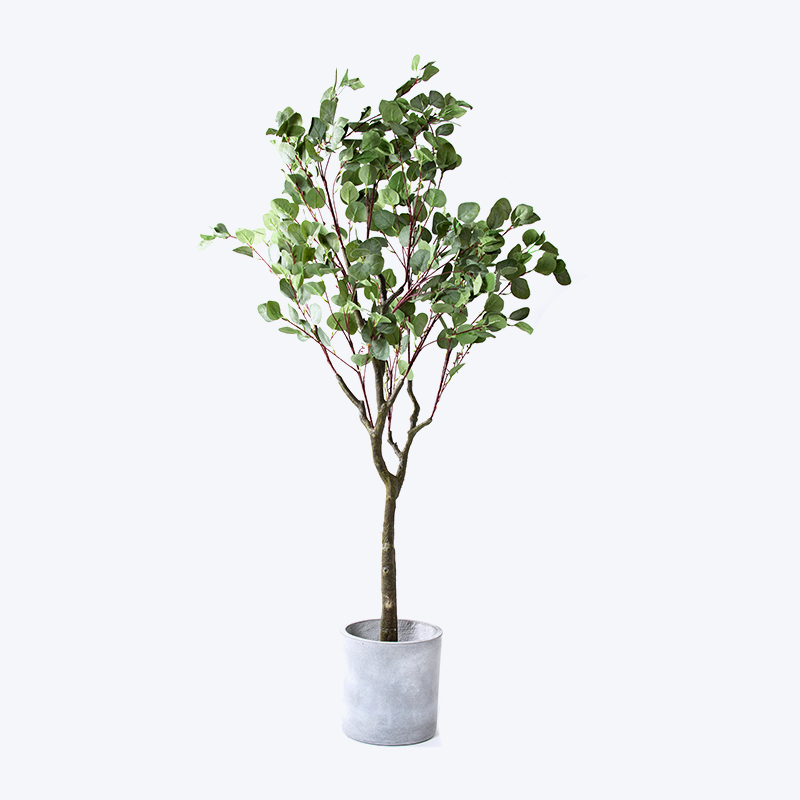 Faux plante verte et pot Eucalyptus-m